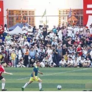中国足球场地数量统计调查数据，中国足球运动真实中的普及程度有多