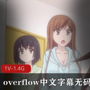 《Overflow》完整版下载观看，动画片中文字幕，无圣光岛国家庭乱L剧
